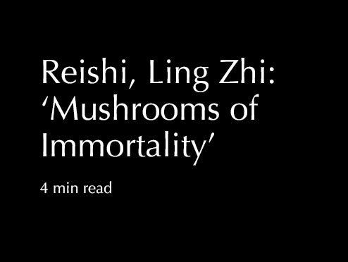 Reishi, Ling Zhi: 'Mushrooms of Immortality'