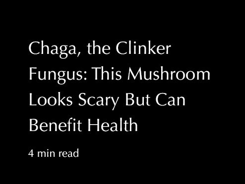 Chaga, the Clinker Fungus: This Mushroom Looks Scary But Can Benefit Health